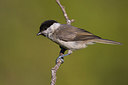 BUITEN BEELD Foto: 267607