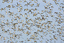 BUITEN BEELD Foto: 267643
