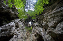 BUITEN BEELD Foto: 267663