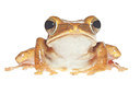 BUITEN BEELD Foto: 267668