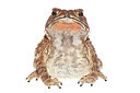 BUITEN BEELD Foto: 267676
