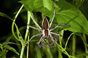 BUITEN BEELD Foto: 267677