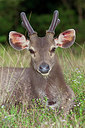BUITEN BEELD Foto: 267703