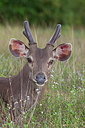 BUITEN BEELD Foto: 267758
