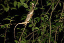 BUITEN BEELD Foto: 267765