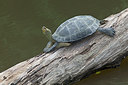 BUITEN BEELD Foto: 267770