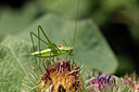 BUITEN BEELD Foto: 267823