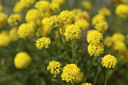 BUITEN BEELD Foto: 267857