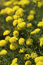BUITEN BEELD Foto: 267858