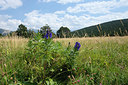 BUITEN BEELD Foto: 267865