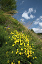 BUITEN BEELD Foto: 267870