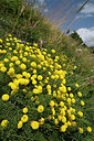 BUITEN BEELD Foto: 267871