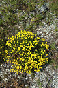 BUITEN BEELD Foto: 267872