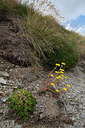 BUITEN BEELD Foto: 267874