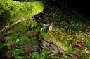BUITEN BEELD Foto: 267894