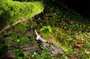 BUITEN BEELD Foto: 267895