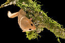 BUITEN BEELD Foto: 267897