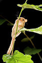 BUITEN BEELD Foto: 267898