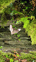 BUITEN BEELD Foto: 267936