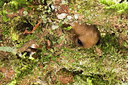 BUITEN BEELD Foto: 267944