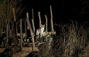 BUITEN BEELD Foto: 267958