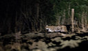 BUITEN BEELD Foto: 267960