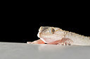 BUITEN BEELD Foto: 267966