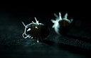 BUITEN BEELD Foto: 267978