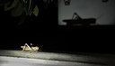 BUITEN BEELD Foto: 267987
