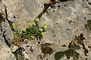BUITEN BEELD Foto: 268233