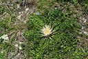BUITEN BEELD Foto: 268261