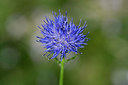 BUITEN BEELD Foto: 268264