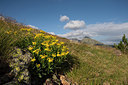 BUITEN BEELD Foto: 268282