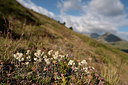 BUITEN BEELD Foto: 268284
