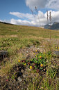 BUITEN BEELD Foto: 268285