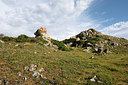 BUITEN BEELD Foto: 268308