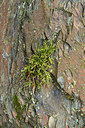 BUITEN BEELD Foto: 268309