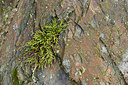BUITEN BEELD Foto: 268310