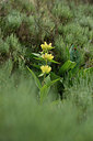 BUITEN BEELD Foto: 268320