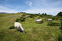 BUITEN BEELD Foto: 268354