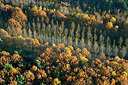 BUITEN BEELD Foto: 268395