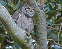 BUITEN BEELD Foto: 268503