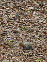 BUITEN BEELD Foto: 268562