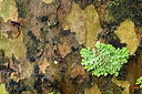 BUITEN BEELD Foto: 268580