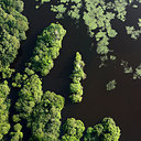 BUITEN BEELD Foto: 268584