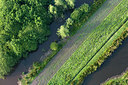 BUITEN BEELD Foto: 268606