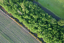 BUITEN BEELD Foto: 268607