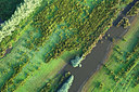 BUITEN BEELD Foto: 268609