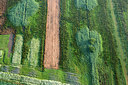 BUITEN BEELD Foto: 268614