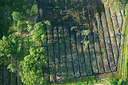 BUITEN BEELD Foto: 268631
